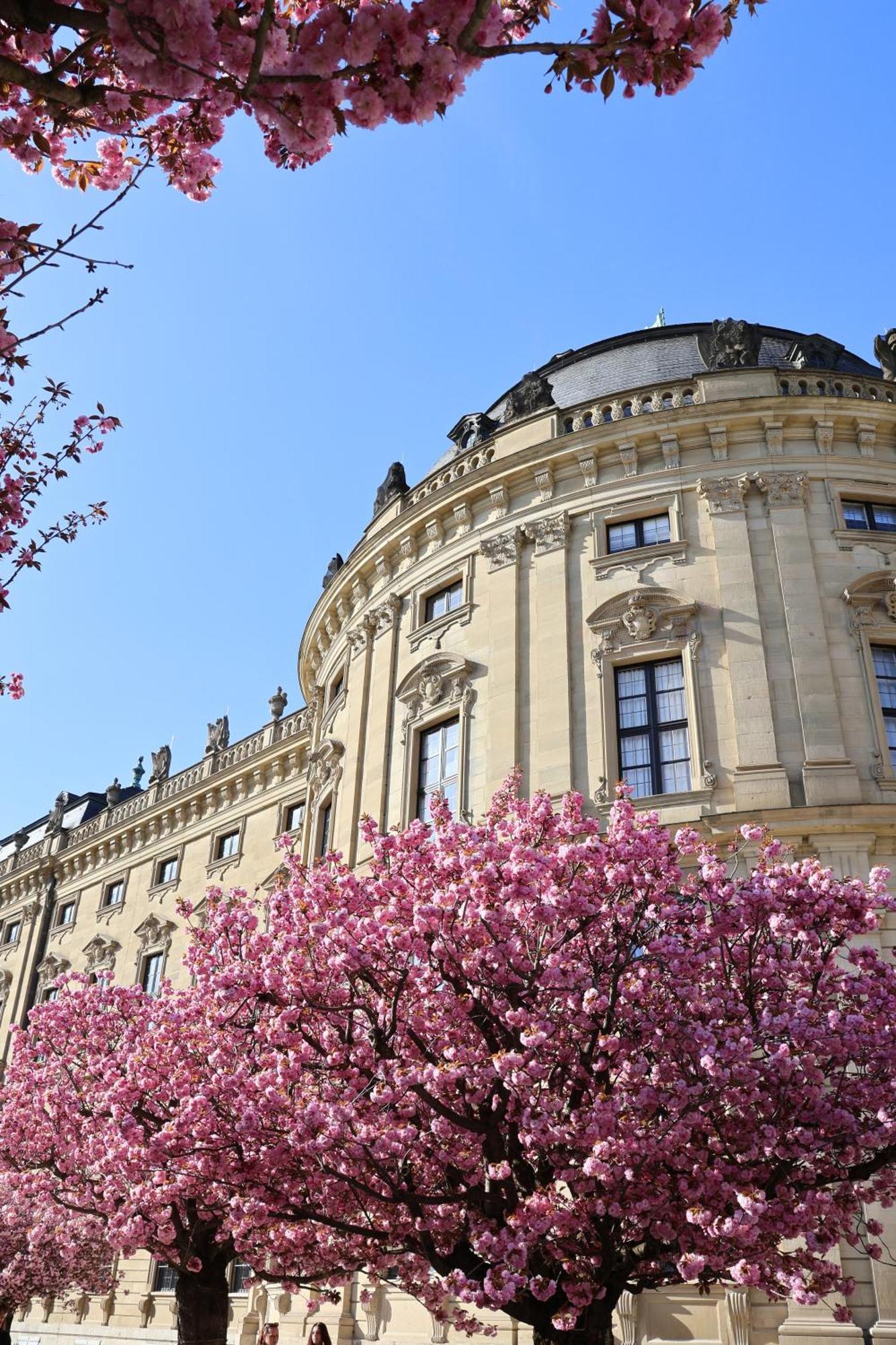 Ringpark-Ferien Lägenhet Würzburg Exteriör bild